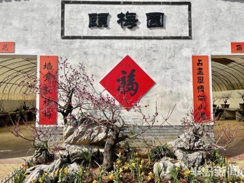 十梅庵今日最新爆料,今日最新爆料揭示惊人内幕  第3张